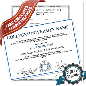 Associate diploma from university with set of matching college transcripts showing undergraduate class details and student information