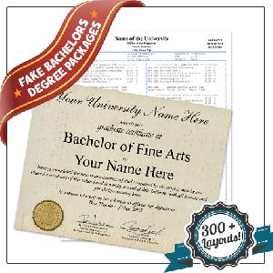 Diploma in bachelors of fine arts degree with shiny gold embossed seal along with matching undergraduate academic transcripts