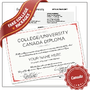 Copy of Canada college diploma signed on red border paper next to set of matching University academic transcript mark sheets