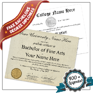 bachelor of fine arts diploma featuring gold seal and college diploma featuring silver seal on white paper