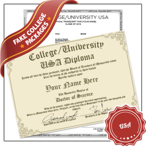 college diploma from usa university featuring decorative border next to academic transcript on white bordered paper