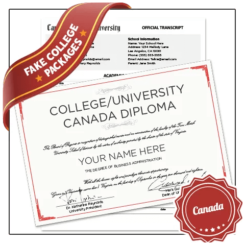 Copy of Canada college diploma signed on red border paper next to set of matching University academic transcript mark sheets