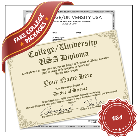 college diploma from usa university featuring decorative border next to academic transcript on white bordered paper