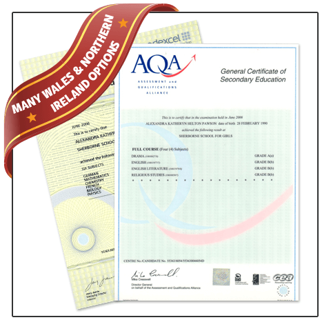 Two copies of GCSE General Certificate of Secondary Education certificates from AQA and CEA hand signed on border certificate paper 